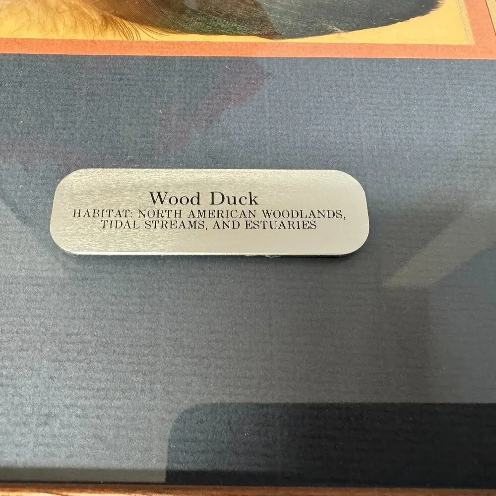 Vintage Wall Decor Wood Duck Real original feather Wooden Frame 18.5
